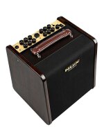 NU.X Stageman II Acoustic Guitar Amp