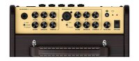 NU.X Stageman II Acoustic Guitar Amp