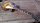 Tokai LS1 R9 FBS Reborn Old