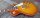 Tokai LS2 F-VF Love Rock