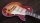 Tokai LC172S-F-CS Love Rock Custom Shop