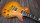 Tokai LS1-R9 F-VF Reborn Old