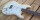 Tokai ST120 Goldstar Sound Vintage White