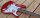 Squier Sonic Strat, Torino Red