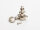Kluson Modern "Roundback" / Oval / 6L